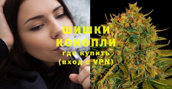 PSILOCYBIN Армянск