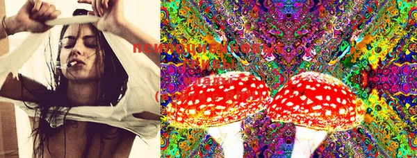 PSILOCYBIN Армянск