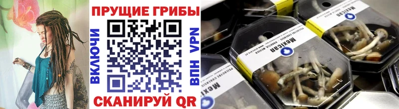 Псилоцибиновые грибы мухоморы Купить где Подпорожье